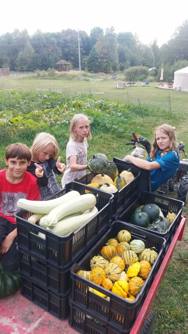 Zdjęcie z projektu Healthy Mind - Smart Eco