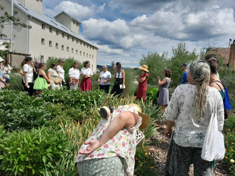 Zdjęcie z projektu Healthy Mind - Smart Eco