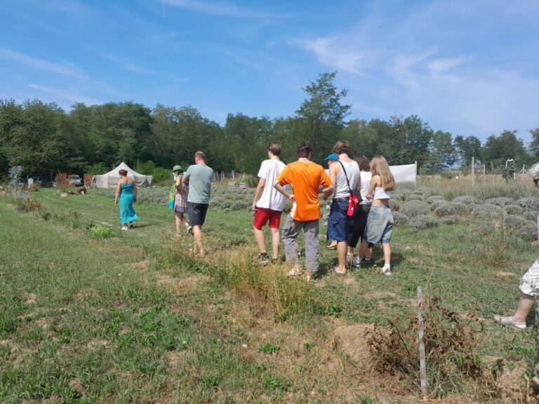 Zdjęcie z projektu Healthy Mind - Smart Eco