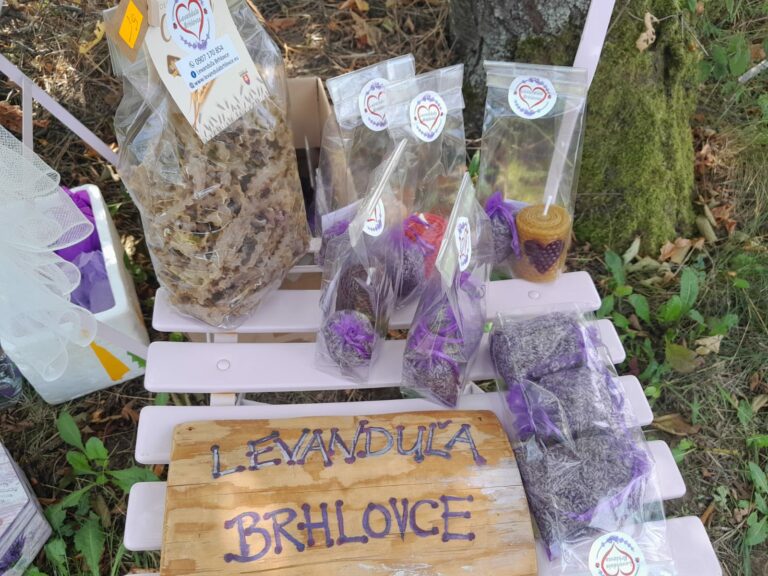 Zdjęcie z projektu Healthy Mind - Smart Eco
