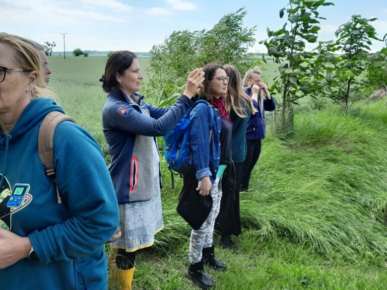 Zdjęcie z projektu Healthy Mind - Smart Eco